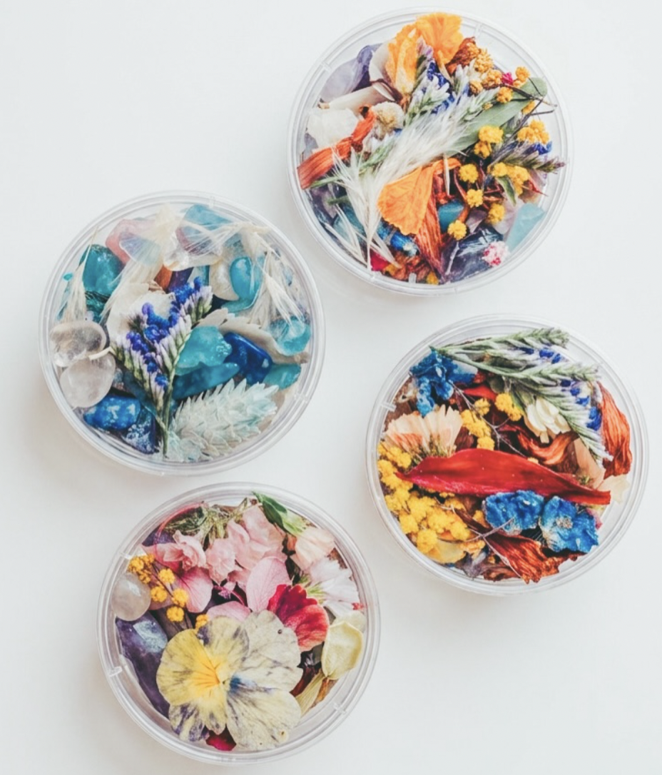 色とりどりの花材を組み合わせた4つのシャーレ作品